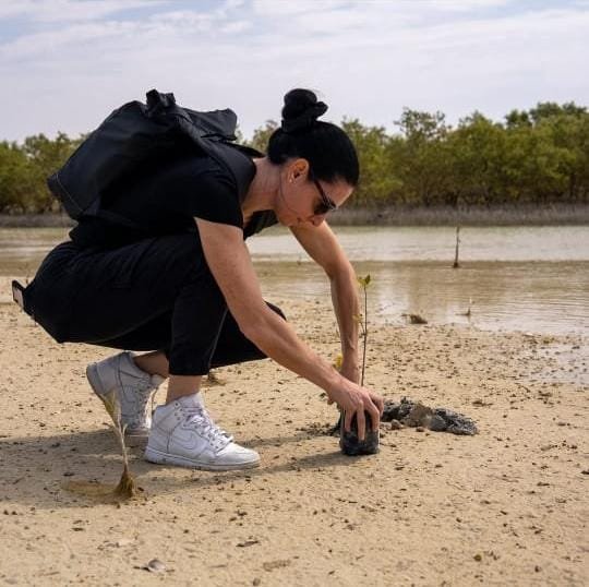 Audrey planting mangroves in the UAE